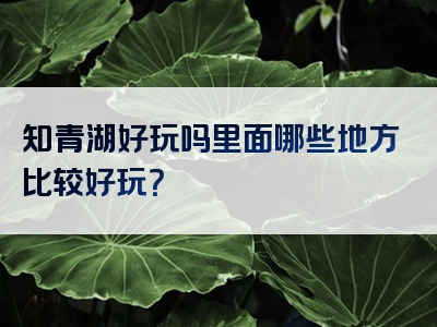 知青湖好玩吗里面哪些地方比较好玩？