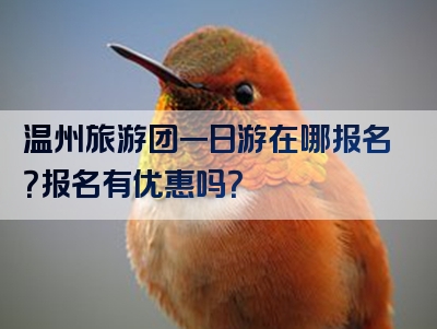 温州旅游团一日游在哪报名？报名有优惠吗？