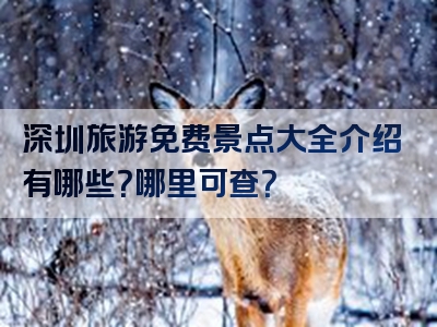 深圳旅游免费景点大全介绍有哪些？哪里可查？