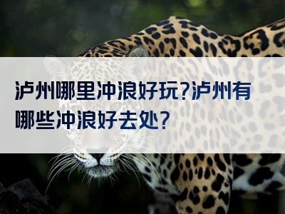 泸州哪里冲浪好玩？泸州有哪些冲浪好去处？