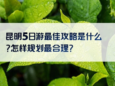 昆明5日游最佳攻略是什么？怎样规划最合理？