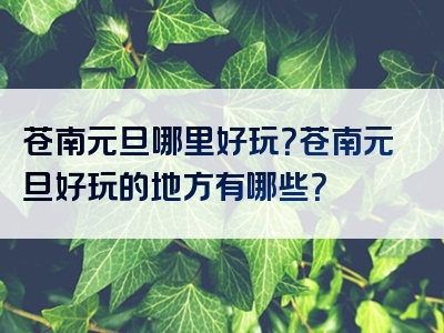 苍南元旦哪里好玩？苍南元旦好玩的地方有哪些？