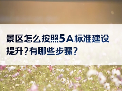 景区怎么按照5A标准建设提升？有哪些步骤？