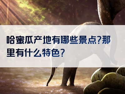 哈蜜瓜产地有哪些景点？那里有什么特色？