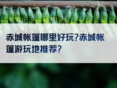 赤城帐篷哪里好玩？赤城帐篷游玩地推荐？