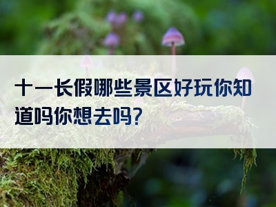 十一长假哪些景区好玩你知道吗你想去吗？