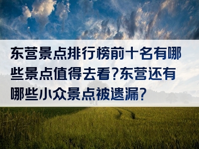 东营景点排行榜前十名有哪些景点值得去看？东营还有哪些小众景点被遗漏？
