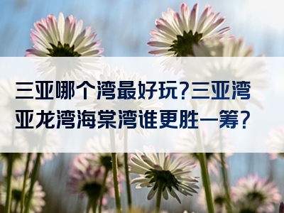 三亚哪个湾最好玩？三亚湾亚龙湾海棠湾谁更胜一筹？
