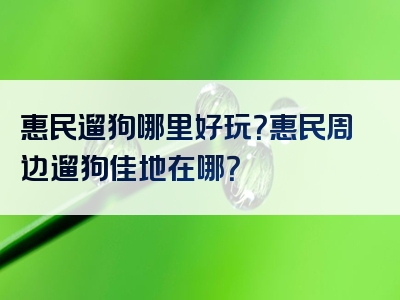 惠民遛狗哪里好玩？惠民周边遛狗佳地在哪？