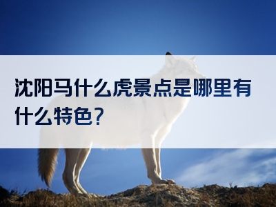 沈阳马什么虎景点是哪里有什么特色？