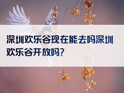 深圳欢乐谷现在能去吗深圳欢乐谷开放吗？