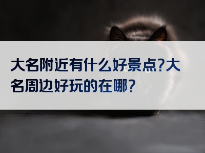 大名附近有什么好景点？大名周边好玩的在哪？