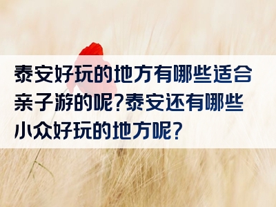 泰安好玩的地方有哪些适合亲子游的呢？泰安还有哪些小众好玩的地方呢？