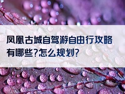 凤凰古城自驾游自由行攻略有哪些？怎么规划？