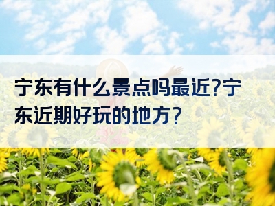 宁东有什么景点吗最近？宁东近期好玩的地方？