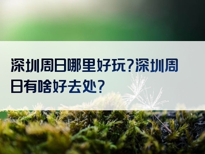 深圳周日哪里好玩？深圳周日有啥好去处？