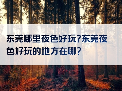 东莞哪里夜色好玩？东莞夜色好玩的地方在哪？