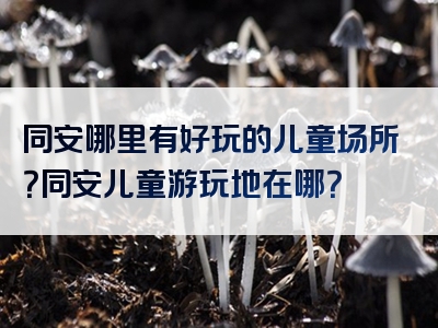 同安哪里有好玩的儿童场所？同安儿童游玩地在哪？