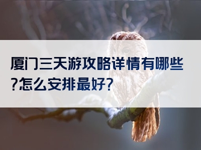 厦门三天游攻略详情有哪些？怎么安排最好？