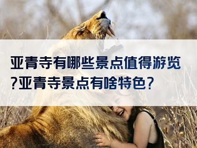 亚青寺有哪些景点值得游览？亚青寺景点有啥特色？