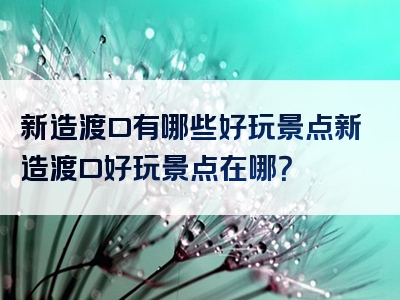 新造渡口有哪些好玩景点新造渡口好玩景点在哪？