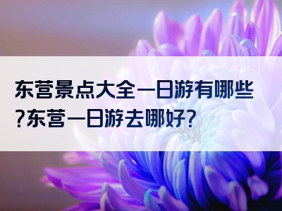 东营景点大全一日游有哪些？东营一日游去哪好？