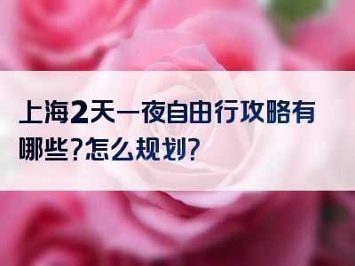 上海2天一夜自由行攻略有哪些？怎么规划？