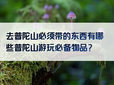 去普陀山必须带的东西有哪些普陀山游玩必备物品？