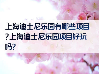 上海迪士尼乐园有哪些项目？上海迪士尼乐园项目好玩吗？