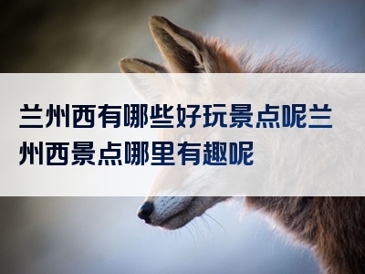 兰州西有哪些好玩景点呢兰州西景点哪里有趣呢