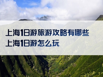 上海1日游旅游攻略有哪些上海1日游怎么玩
