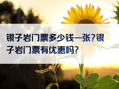 银子岩门票多少钱一张？银子岩门票有优惠吗？