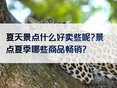 夏天景点什么好卖些呢？景点夏季哪些商品畅销？