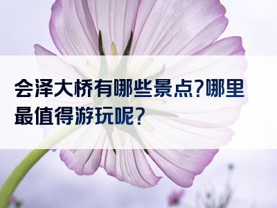 会泽大桥有哪些景点？哪里最值得游玩呢？