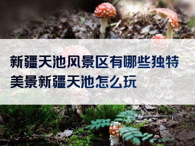 新疆天池风景区有哪些独特美景新疆天池怎么玩