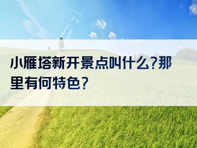 小雁塔新开景点叫什么？那里有何特色？