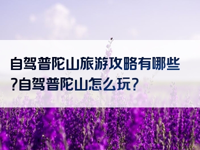 自驾普陀山旅游攻略有哪些？自驾普陀山怎么玩？