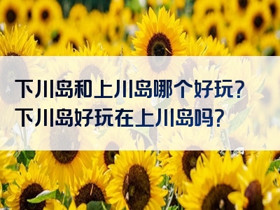 下川岛和上川岛哪个好玩？下川岛好玩在上川岛吗？