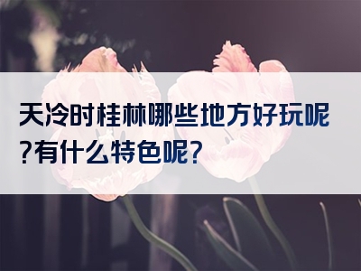 天冷时桂林哪些地方好玩呢？有什么特色呢？