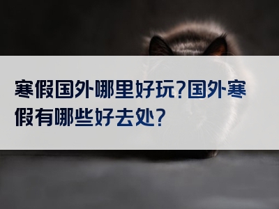 寒假国外哪里好玩？国外寒假有哪些好去处？
