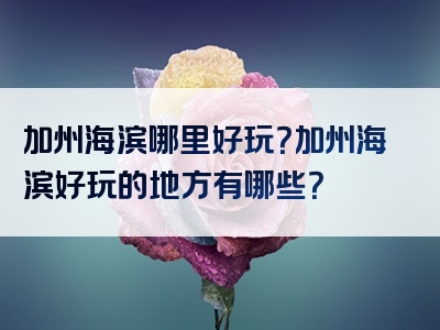 加州海滨哪里好玩？加州海滨好玩的地方有哪些？