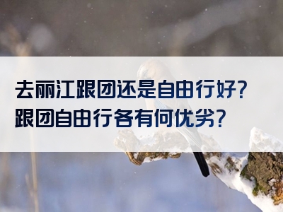 去丽江跟团还是自由行好？跟团自由行各有何优劣？