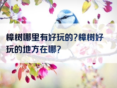 樟树哪里有好玩的？樟树好玩的地方在哪？