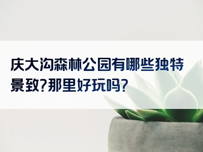 庆大沟森林公园有哪些独特景致？那里好玩吗？