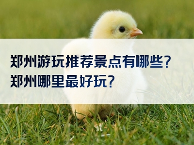 郑州游玩推荐景点有哪些？郑州哪里最好玩？