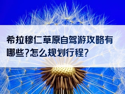希拉穆仁草原自驾游攻略有哪些？怎么规划行程？