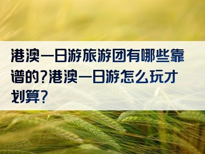 港澳一日游旅游团有哪些靠谱的？港澳一日游怎么玩才划算？