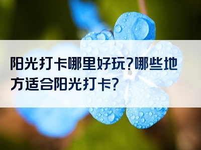 阳光打卡哪里好玩？哪些地方适合阳光打卡？