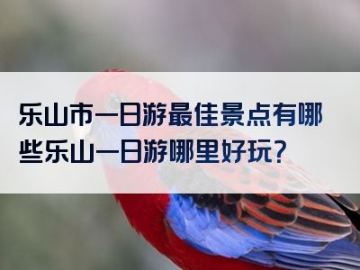 乐山市一日游最佳景点有哪些乐山一日游哪里好玩？