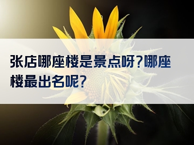 张店哪座楼是景点呀？哪座楼最出名呢？